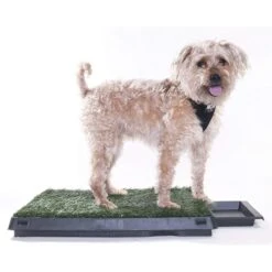 Downtown Pet Supply Pee Turf Portable Dog Potty With Drawer, 20 X 25-in -PetSafe Kong Shop 190998 PT7. AC SS1800 V1591362707