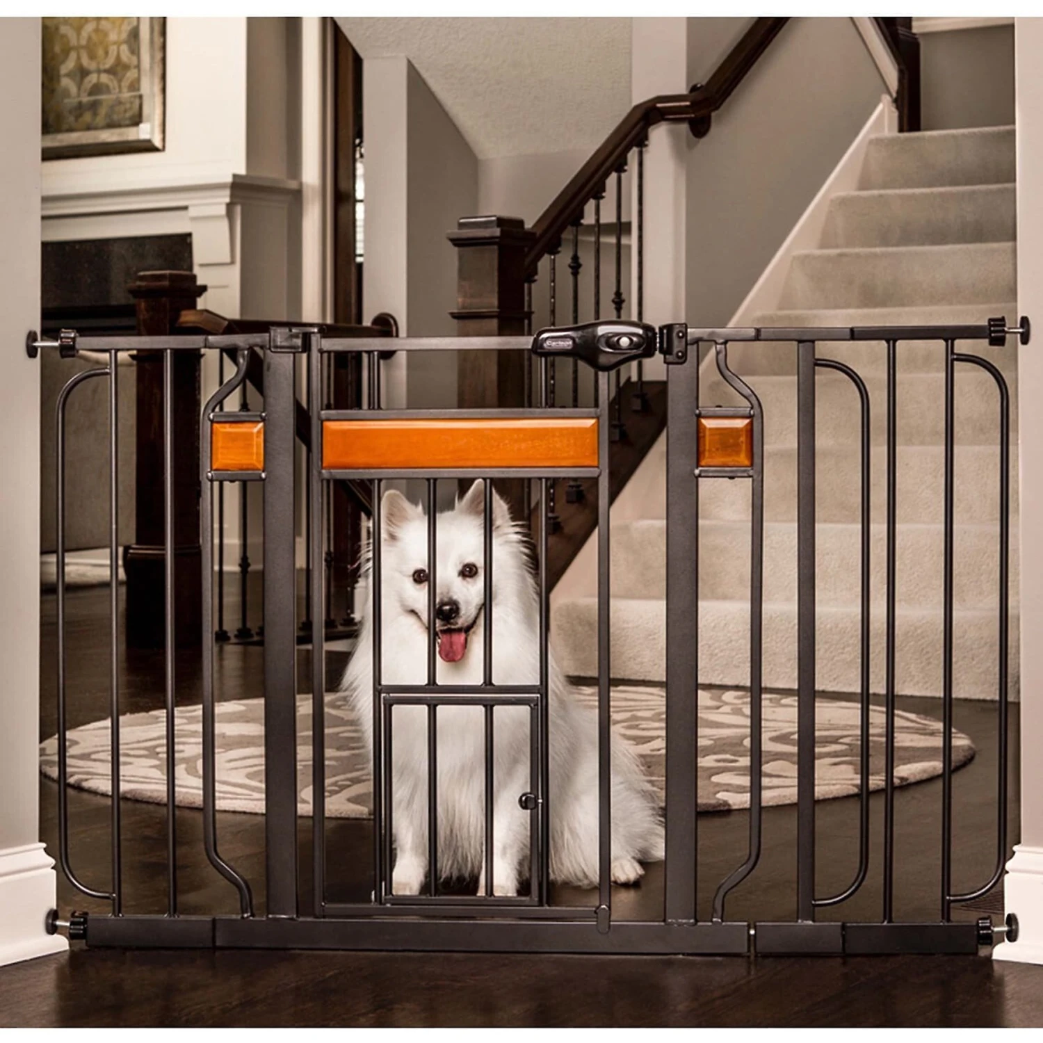 Carlson Pet Products Design Paw Extra Wide Dog Gate, Black, 30-in 2 Carlson Pet Products Design Paw Extra Wide Dog Gate, Black, 30-in - Image 2