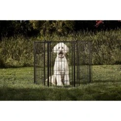 Carlson Pet Products Outdoor Extra Tall Super Wide Dog Gate
