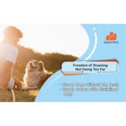 GROOVYPETS Remote Training Dog Collar & Inground Electronic Containment Fence System -PetSafe Kong Shop 192127 PT5. AC SS1800 V1626282712