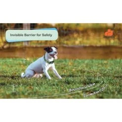 GROOVYPETS Fence & Remote Dog Trainer System, 2 Collars -PetSafe Kong Shop 192129 PT3. AC SS1800 V1626282377