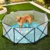 Regalo Pet Products My Play Portable Soft-sided Dog & Cat Playpen
