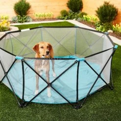 Regalo Pet Products My Play Portable Soft-sided Dog & Cat Playpen -PetSafe Kong Shop 192142 PT4. AC SS1800 V1582320084