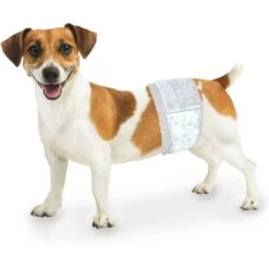Wee-Wee Disposable Male Dog Wraps 13 Wee-Wee Disposable Male Dog Wraps -PetSafe Kong Shop 192215 PT5. AC SS1800 V1689364461