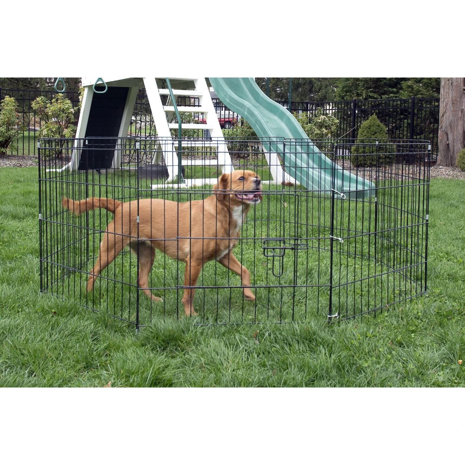 Iconic Pet 8-Panel Portable Foldable Wire Dog Pen 2 Iconic Pet 8-Panel Portable Foldable Wire Dog Pen - Image 2