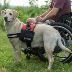 Industrial Puppy Do Not Pet Dog Harness Backpacks 13 Industrial Puppy Do Not Pet Dog Harness Backpacks -PetSafe Kong Shop 193779 PT6. AC SS1800 V1566938280