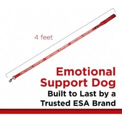 Industrial Puppy Emotional Support Dog ESA Nylon Reflective Dog Leash -PetSafe Kong Shop 193781 PT2. AC SS1800 V1573483700