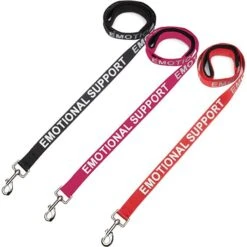 Industrial Puppy Emotional Support Dog ESA Nylon Reflective Dog Leash -PetSafe Kong Shop 193781 PT4. AC SS1800 V1672843729