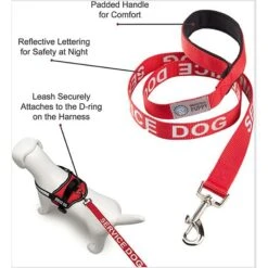 Industrial Puppy Emotional Support Dog ESA Nylon Reflective Dog Leash -PetSafe Kong Shop 193781 PT5. AC SS1800 V1675449839