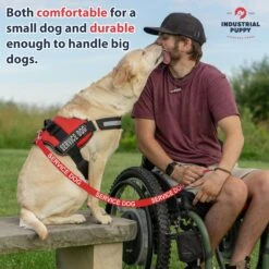 Industrial Puppy Nylon Reflective Service Dog Leash 6 Industrial Puppy Nylon Reflective Service Dog Leash -PetSafe Kong Shop 193783 PT2. AC SS1800 V1670620842