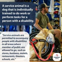 Industrial Puppy Nylon Reflective Service Dog Leash 7 Industrial Puppy Nylon Reflective Service Dog Leash -PetSafe Kong Shop 193783 PT3. AC SS1800 V1670620840