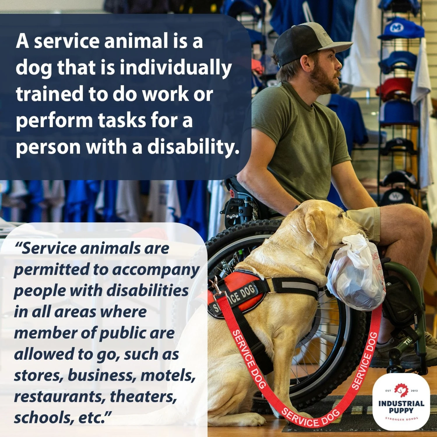 Industrial Puppy Nylon Reflective Service Dog Leash 4 Industrial Puppy Nylon Reflective Service Dog Leash - Image 4