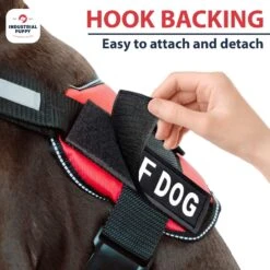 Industrial Puppy Deaf Dog Harness Patches, 2 Count -PetSafe Kong Shop 193787 PT4. AC SS1800 V1671744284