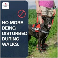 Industrial Puppy Deaf Dog Harness Patches, 2 Count -PetSafe Kong Shop 193787 PT6. AC SS1800 V1671814804