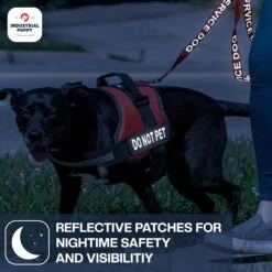 Industrial Puppy Do Not Pet Dog Patches -PetSafe Kong Shop 193788 PT5. AC SS1800 V1670883705
