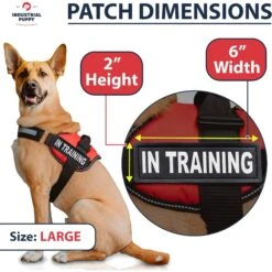 Industrial Puppy Dog In Training Patches, 2 Count -PetSafe Kong Shop 193792 PT2. AC SS1800 V1671808952