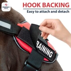 Industrial Puppy Dog In Training Patches, 2 Count -PetSafe Kong Shop 193792 PT4. AC SS1800 V1671807435