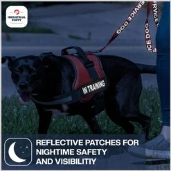 Industrial Puppy Dog In Training Patches, 2 Count -PetSafe Kong Shop 193792 PT5. AC SS1800 V1671813834