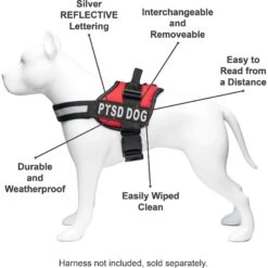 Industrial Puppy PTSD Dog Harness Patches, 2 Count -PetSafe Kong Shop 193800 PT4. AC SS1800 V1573484082