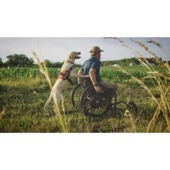 Industrial Puppy Therapy Dog Harness Patch, 2 Count -PetSafe Kong Shop 193809 PT6. AC SS1800 V1566938519