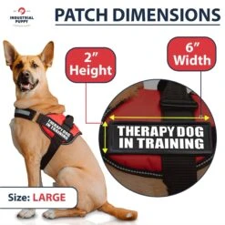 Industrial Puppy Therapy Dog In Training Harness Dog Patch 9 Industrial Puppy Therapy Dog In Training Harness Dog Patch -PetSafe Kong Shop 193814 PT2. AC SS1800 V1672410924