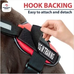 Industrial Puppy Therapy Dog In Training Harness Dog Patch 11 Industrial Puppy Therapy Dog In Training Harness Dog Patch -PetSafe Kong Shop 193814 PT4. AC SS1800 V1672410924