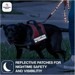 Industrial Puppy Therapy Dog In Training Harness Dog Patch 12 Industrial Puppy Therapy Dog In Training Harness Dog Patch -PetSafe Kong Shop 193814 PT5. AC SS1800 V1672410924