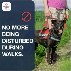 Industrial Puppy Therapy Dog In Training Harness Dog Patch 13 Industrial Puppy Therapy Dog In Training Harness Dog Patch -PetSafe Kong Shop 193814 PT6. AC SS1800 V1672410924