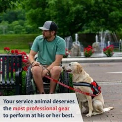 Industrial Puppy Reflective Service Dog Harness & Leash 14 Industrial Puppy Reflective Service Dog Harness & Leash -PetSafe Kong Shop 193838 PT6. AC SS1800 V1673387008