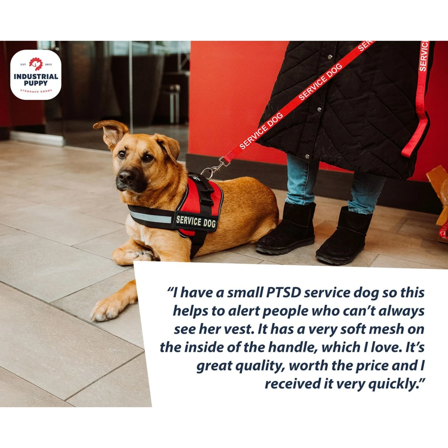 Industrial Puppy Reflective Service Dog Harness & Leash 8 Industrial Puppy Reflective Service Dog Harness & Leash - Image 8