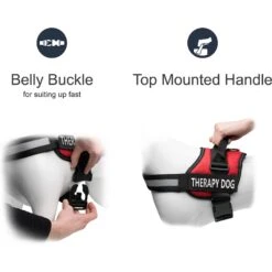 Industrial Puppy Therapy Dog Vest Harness With Therapy Dog Patches 9 Industrial Puppy Therapy Dog Vest Harness With Therapy Dog Patches -PetSafe Kong Shop 193882 PT2. AC SS1800 V1573486854