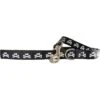 Wagberry Dog & Crossbones Dog Leash