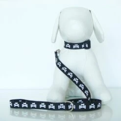 Wagberry Dog & Crossbones Dog Leash 11 Wagberry Dog & Crossbones Dog Leash -PetSafe Kong Shop 194054 PT5. AC SS1800 V1649714203