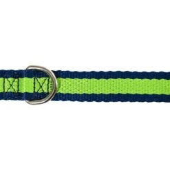 Wagberry Allure Dog Leash, Navy Blue/Green 8 Wagberry Allure Dog Leash, Navy Blue/Green -PetSafe Kong Shop 194070 PT2. AC SS1800 V1649718705