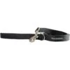 Wagberry Heritage Dog Leash