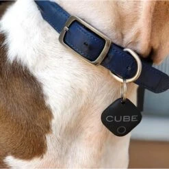 Cube Bluetooth Smart Tracker -PetSafe Kong Shop 194747 PT3. AC SS1800 V1567128215