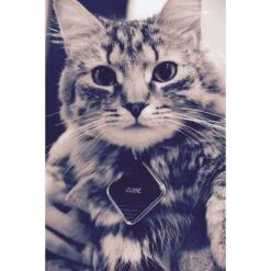 Cube Pro Bluetooth Tracker -PetSafe Kong Shop 194749 PT3. AC SS1800 V1567128400