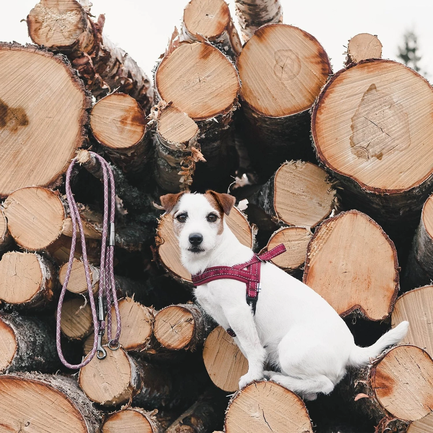 Hurtta Casual Rope Reflective Dog Leash 2 Hurtta Casual Rope Reflective Dog Leash - Image 2