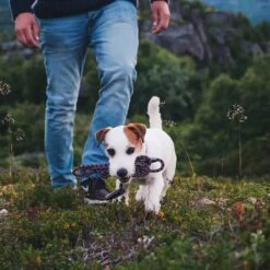 Hurtta Casual Rope Reflective Dog Leash 5 Hurtta Casual Rope Reflective Dog Leash -PetSafe Kong Shop 195222 PT8. AC SS1800 V1568390534