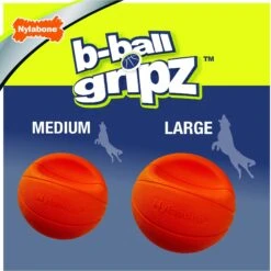 Nylabone Power Play Basketball B-Ball Gripz Dog Toy -PetSafe Kong Shop 195434 PT3. AC SS1800 V1685646679