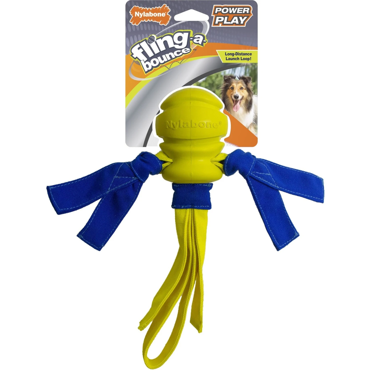 Nylabone Power Play Fling-a-Bounce Dog Fetch Toy 1 Nylabone Power Play Fling-a-Bounce Dog Fetch Toy