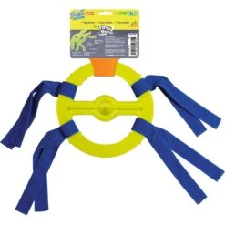 Nylabone Power Play Ring Thing Floatable Dog Toy -PetSafe Kong Shop 195438 PT7. AC SS1800 V1685647808
