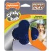 Nylabone Power Play Crazy Ball Dog Toy