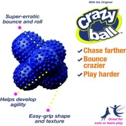 Nylabone Power Play Crazy Ball Dog Toy -PetSafe Kong Shop 195445 PT1. AC SS1800 V1685646735
