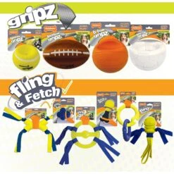 Nylabone Power Play Crazy Ball Dog Toy -PetSafe Kong Shop 195445 PT5. AC SS1800 V1685646676