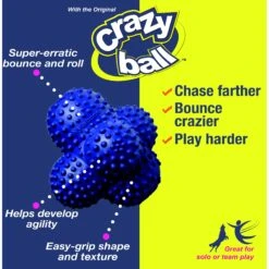 Nylabone Power Play Crazy Ball Dog Toy -PetSafe Kong Shop 195445 PT8. AC SS1800 V1685648723