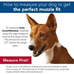 Coastal Pet Products Best Fit Adjustable Mesh Dog Muzzle, Black -PetSafe Kong Shop 195611 PT2. AC SS1800 V1628224896