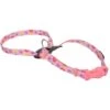 Li'l Pals Patterned Step In Back Clip Dog Harness