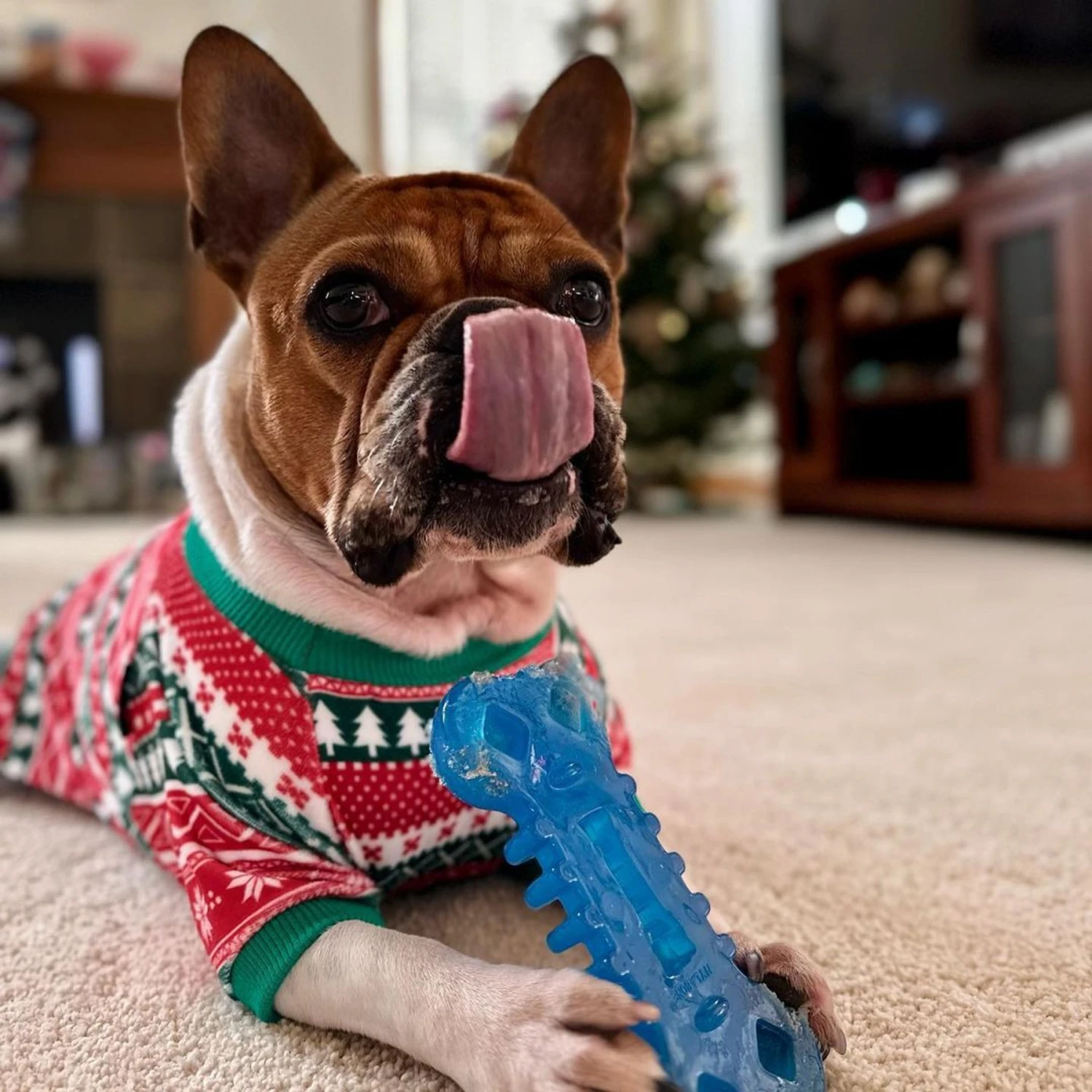 Nylabone Chill & Chew Freezer Chicken Flavored Dog Chew Toy 2 Nylabone Chill & Chew Freezer Chicken Flavored Dog Chew Toy - Image 2