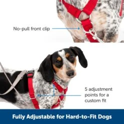 PetSafe Sure-Fit Adjustable Back Clip Dog Harness -PetSafe Kong Shop 200449 PT2. AC SS1800 V1700155449